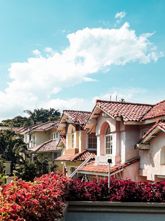 real estate agent